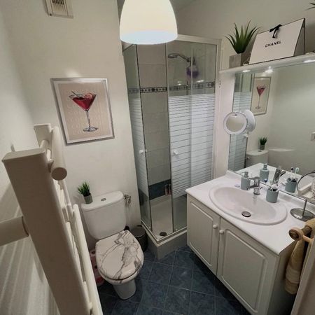 Location Appartement 1 pièce 23m² NICE 06200 - Photo 3