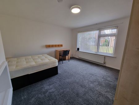 5 Bed Student Accommodation - Photo 4