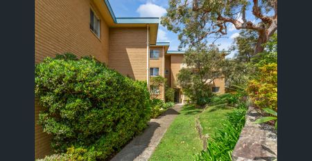Spacious, Light Filled Top Floor Apartment in Prime Dee Why Location - Photo 5
