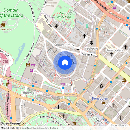 25 Mount Sophia, D09, 228477, Singapore