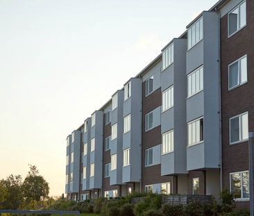 Løvvangen - Vikingevej m.fl. - Foto 1