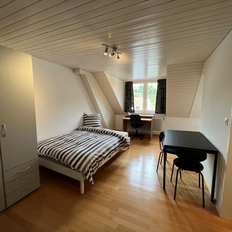 Attraktive 1.5-Zimmer-Wohnung in St. Gallen zu vermieten - Foto 1