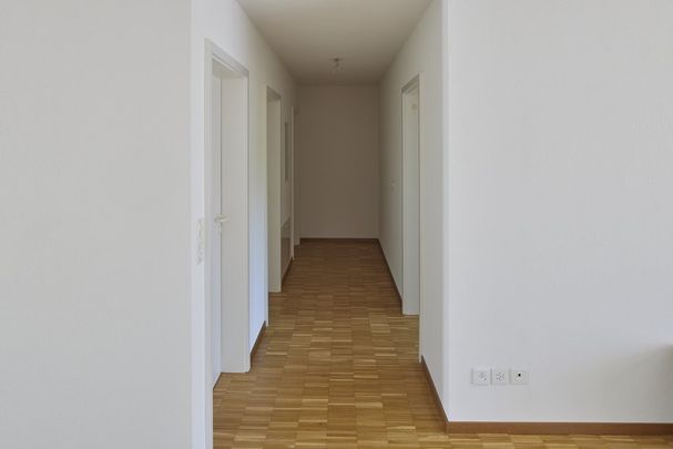 3.5 Zimmer Wohnung mit Sicht ins Grüne - Photo 1