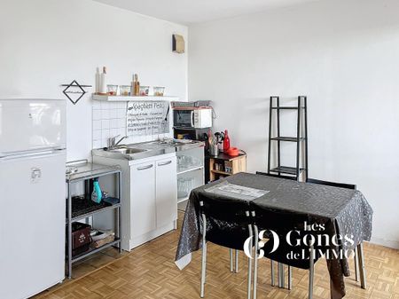 Location Appartement 1 pièce Meublé 30m² VILLEURBANNE 69100 - Photo 2