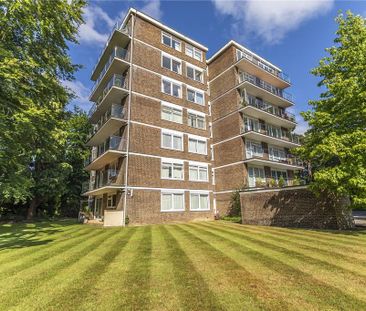 3 bedroom apartment to rent - Photo 4