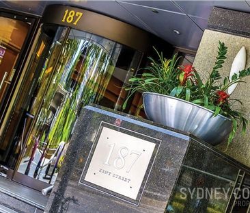 OVERSIZED STUDIO APARTMENT | Furnished - Photo 6