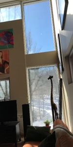Grand, Mezzanine et Toit-Terrasse Morin Heights - Photo 4