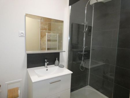 Location Appartement 2 pièces Meublé 38m² NIORT 79000 - Photo 5