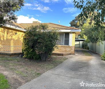 25 Wilburtree Street, Hillvue, NSW 2340 - Photo 3
