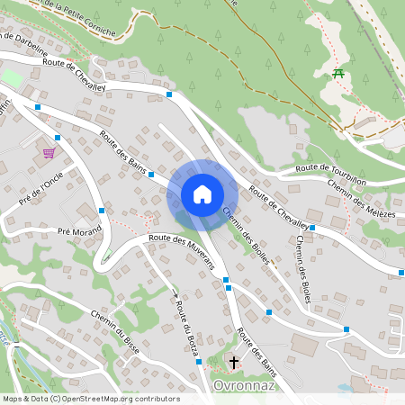 Chemin des Biolles 33, 1911 Ovronnaz