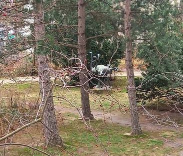 Wohnen und Leben am Großen Garten in einer 2 Raumwohnung mit Balkon - Foto 1