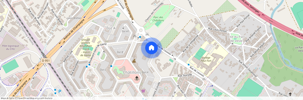 010 RUE DUMONT D'URVILLE, 51100, Reims