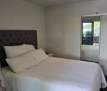 Modern 2 bedroom Apartment Claudelands - Photo 6