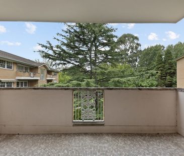 Spacious, Quiet, Light Filled, and Convenient with New AC Throughout - Photo 6