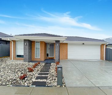 FAMILY HOME IN POPULAR ALFREDTON GROVE! - Photo 5