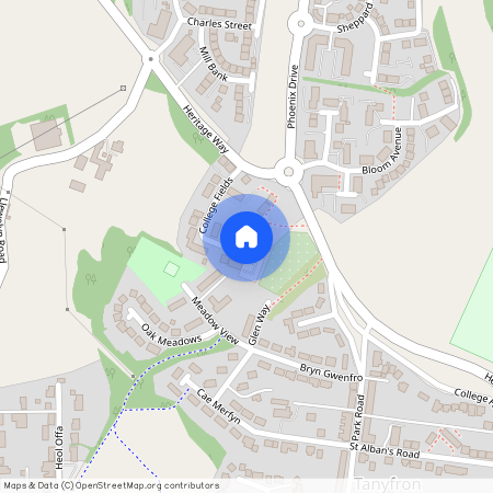 College Fields, Tanyfron, Wrexham, LL11