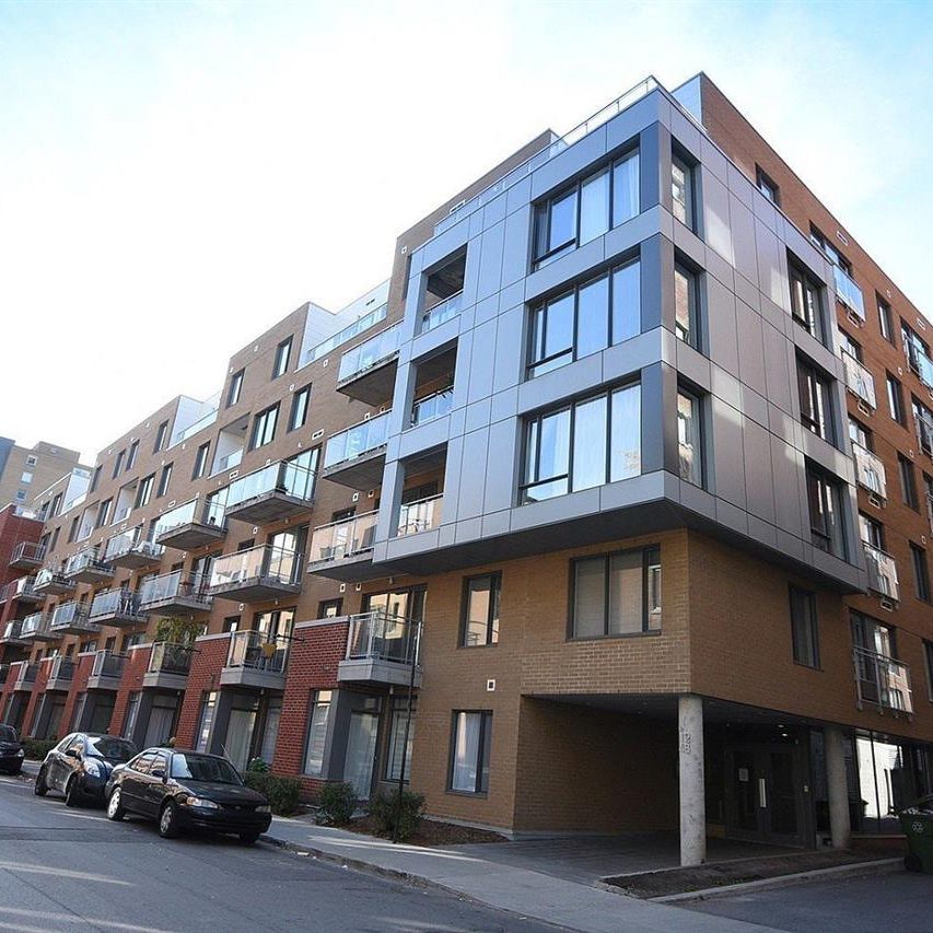 Appartement Ville-Marie (Centre-Ville, Vieux-Montréal) À Louer - Photo 1