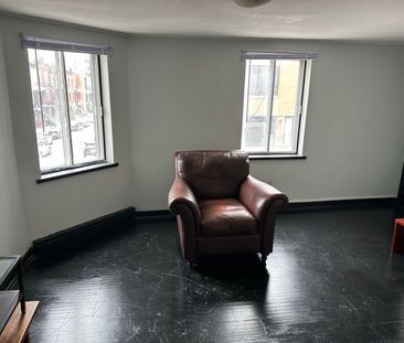 Condo for rent, Montréal (Le Plateau-Mont-Royal) - Photo 4