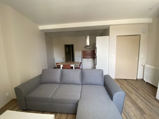 Location Appartement 1 pièce 33m² MONT DE MARSAN 40000 - Photo 1