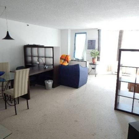 Fully furnished 1-bedroom condo $1460/mois - Photo 1