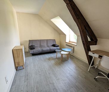 STUDIO MEUBLE BOURGES - 1 pièce- 23 m2 - Photo 6