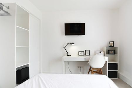 GRIFFOUL Roommate 4 Bedrooms at Toulouse - Photo 3