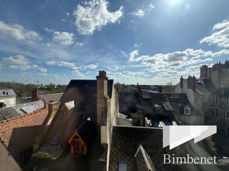 Appartement à louer, 2 pièces - Orléans 45000 - Photo 5