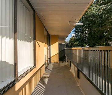 Skyview Apartments - 1 Bedroom - Photo 2