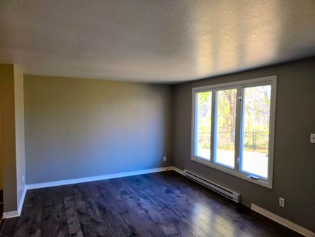 For Lease - 2515 River Road Unit# 3, North Grenville, Ontario - Photo 3