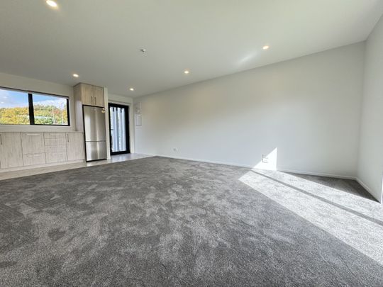 Unit 2, 8 Matata Place, Richmond, Christchurch - Photo 1
