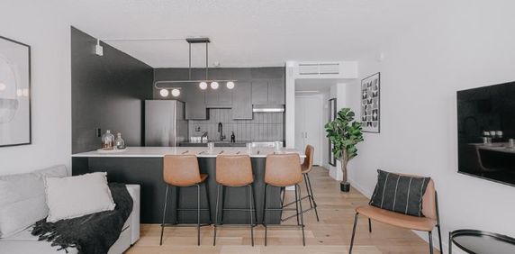 Loft entièrement meublé à louer Saint-Jean-Baptiste décembre 2025 - Photo 2