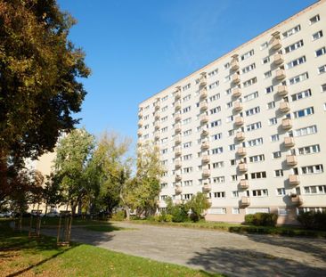 Wola, Młynów, 2 pok, Rondo Daszyńskiego - 12min 41.43 m² - Photo 3