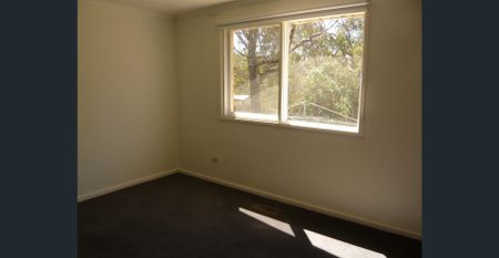 Newly Renovated 3 bedroom house-right next to Deakin Uni - Photo 4