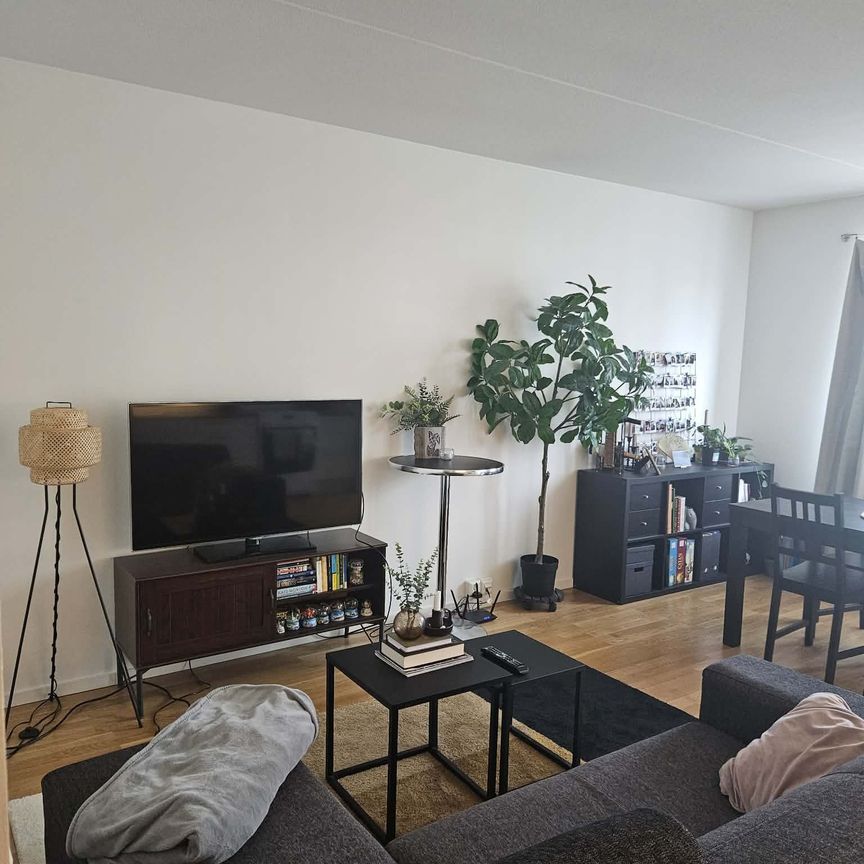 Arkens Väg - Photo 1