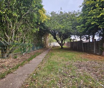 Rocky Lane - Photo 4