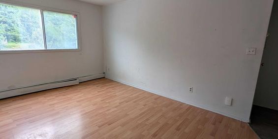 Immeuble - 185 Rue Wilson, Sherbrooke Grand 5 1/2 à Louer - Photo 3