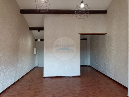 Location : appartement T1 Bis à CARPENTRAS - Photo 3