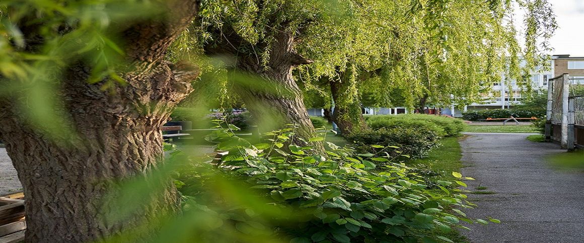 Dalbyvägen 20 A, 23233, Arlöv - Foto 1