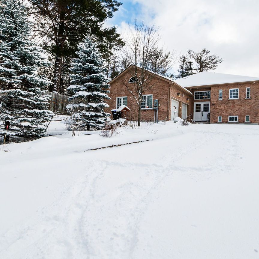For Lease - 589 River Road, Wasaga Beach, Ontario - Photo 1