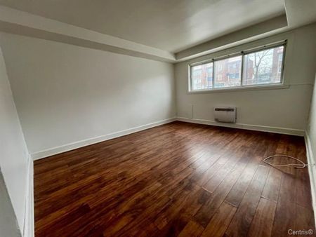 7462 Boulevard Pie-IX - Photo 4