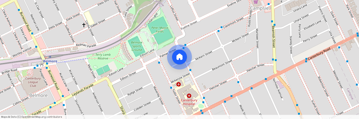 21 Thorncraft Pde, NSW 2194, Campsie