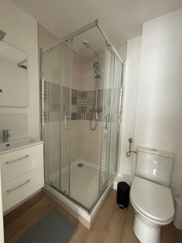 Appartement 1 pièce à Lille - Photo 3