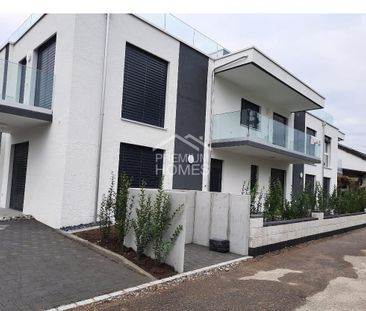 Modern garden apartment to fall in love with! - Photo 5