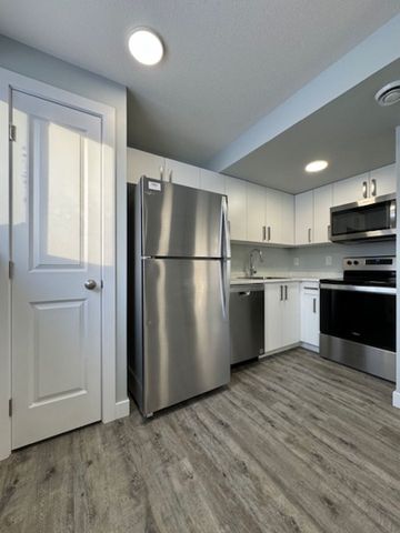 Brand New 2 Bedroom Lower Unit in Evergreen - Photo 4