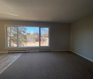 For Lease - 173 Park Avenue Unit# 2, Carleton Place, Ontario - Photo 2