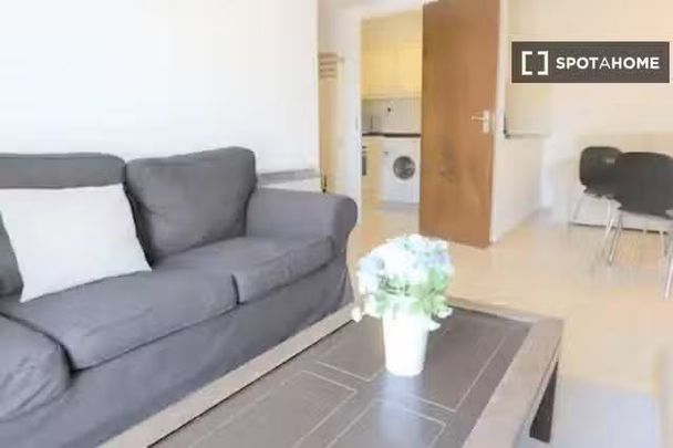 Whole 1 bedrooms apartment in DUBLIN - Photo 1