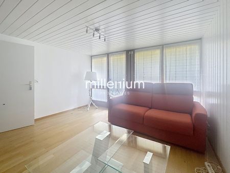 Large furnished house with pool in Versoix - Foto 3