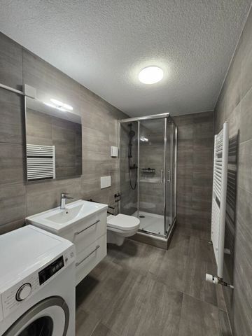 Renovated 2.5-room apartment on the 1st floor - Photo 3