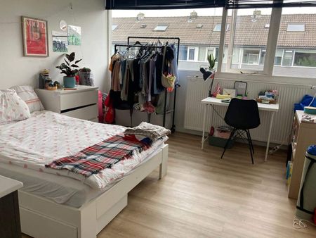 Chambre meublée Alexanderstraat, La Haye - À louer - Foto 2