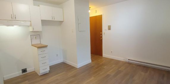 Grand 4½ à St-Romuald - Photo 2